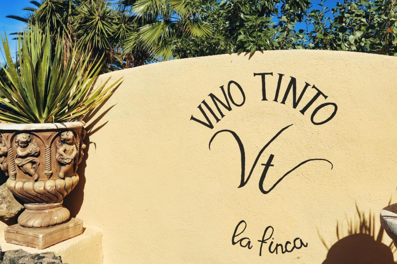 Finca Vino Tinto 5S 伊科德·德·洛斯·维诺斯 外观 照片